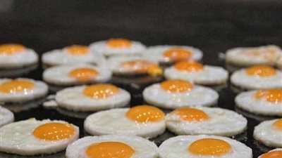 أخيرا.. دراسة تحسم 