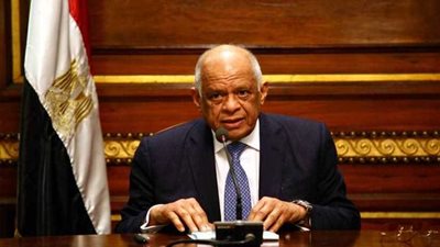 رئيسا مجلس النواب والوزراء يتفقدان عددا من المشروعات في مدينة أسوان الجديدة