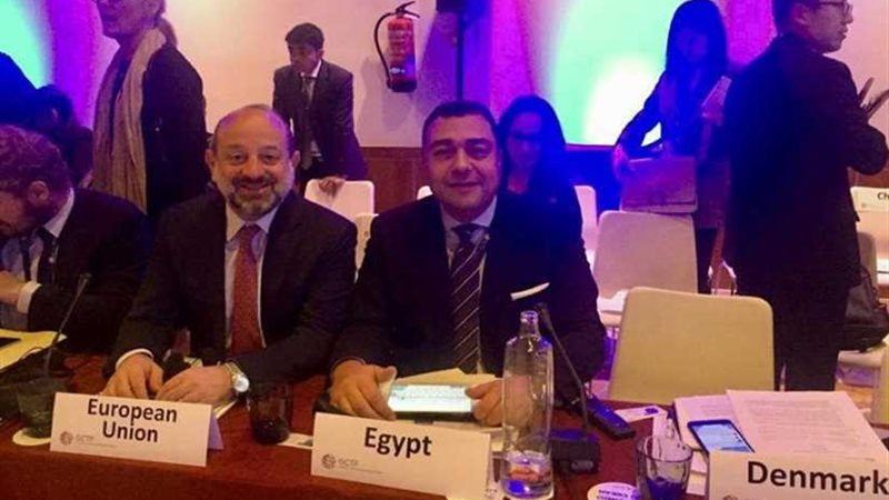 إعادة انتخاب مصر