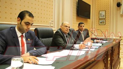 وكيل لجنة الأمن القومى : الصندوق الأسود سيحدد أسباب سقوط الطائرة ويجب التأنى