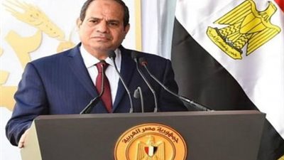 السيسي: الدولة تعاملت مع حادث الطائرة بشكل جيد