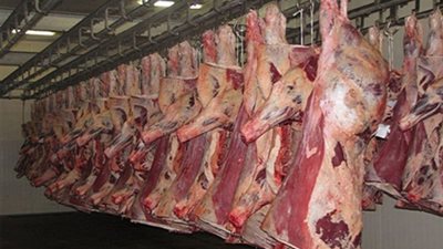 وزير التموين: توزيع كيلو لحمة للأسرة المكونة من 3 أفراد فأقل و2 كيلو لـ4 فأكثر