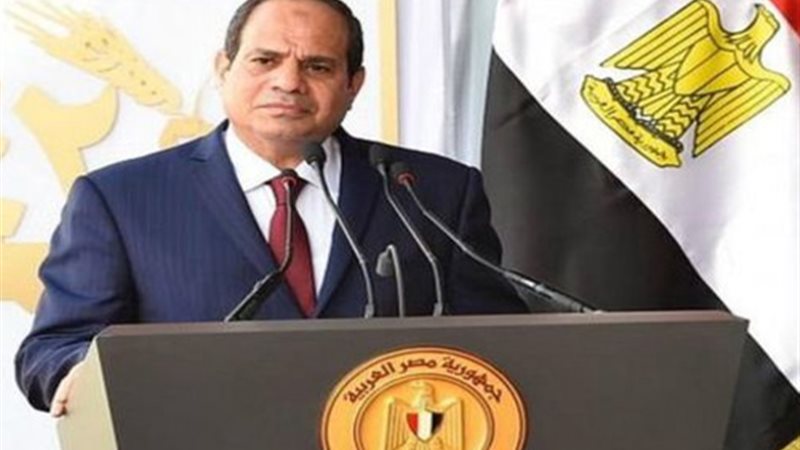 السيسي: الدولة تعاملت