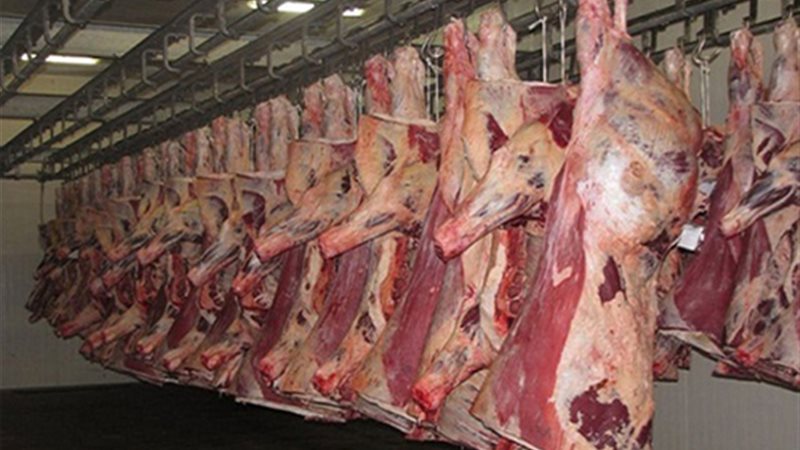 وزير التموين: توزيع