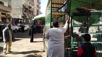 رفع وإزالة مخلفات وإشغالات.. وتسوية وتمهيد شوارع 