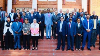 الرئيس الزامبي يبحث مع وفد اتحاد الصناعات فرص زيادة الصادرات المصرية