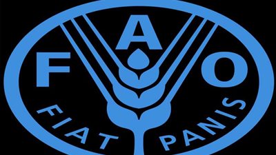 تعلم أن تحب الغابات