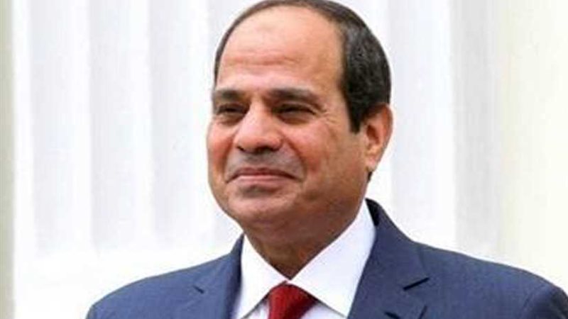 الرئيس السيسي يتفقد