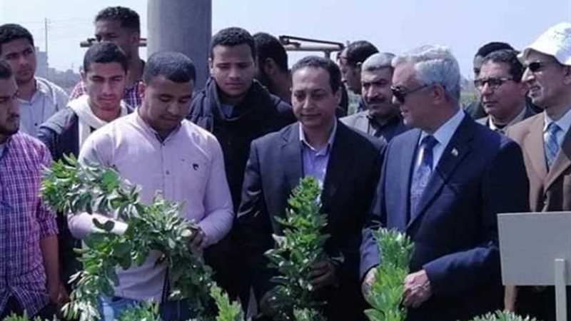 جامعة المنوفية تحتفل