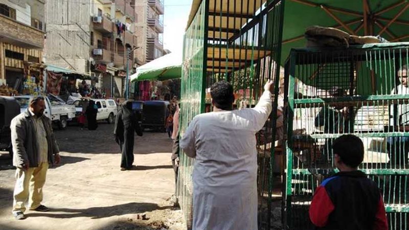 رفع وإزالة مخلفات