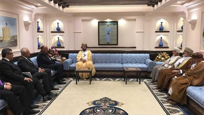 شكري يبحث مع نائب