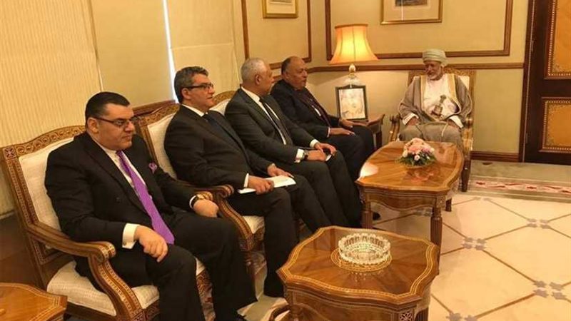 شُكري يلتقي نظيره