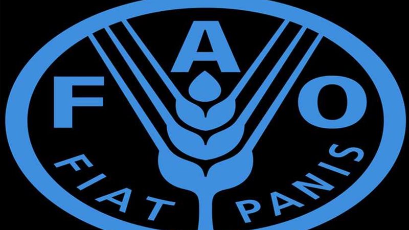 تعلم أن تحب الغابات..