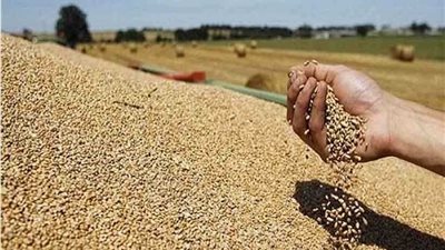 تسمم طفلين بحبوب حفظ الغلال 