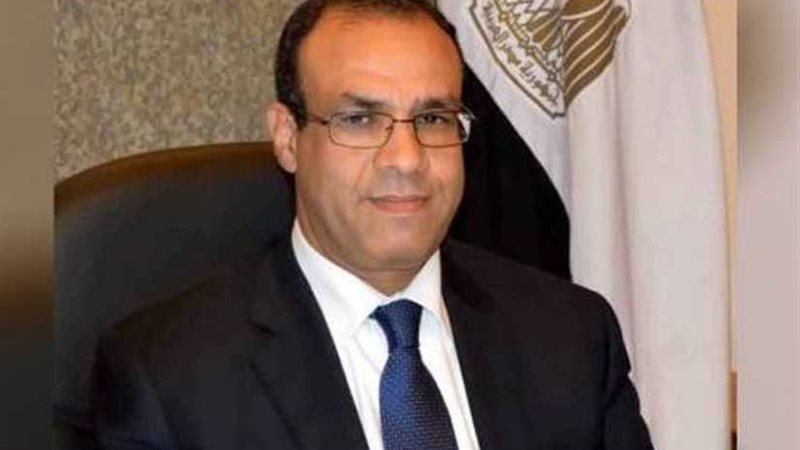 السفير المصري في