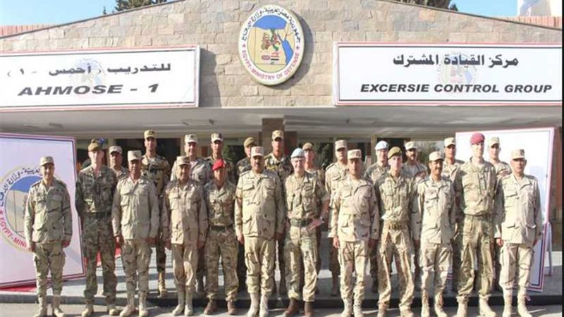 أنشطة مكثفة للتدريب