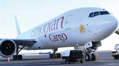 الطيران الإثيوبية: سنقاضي صحيفتين أمريكيتين نشرتا أخبارا مُفبركة بشأن حادث الطائرة