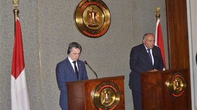 شكرى يدعو نظيره السويسرى لأن تكون بلاده شريكاً وثيقاً لمصر في التنمية