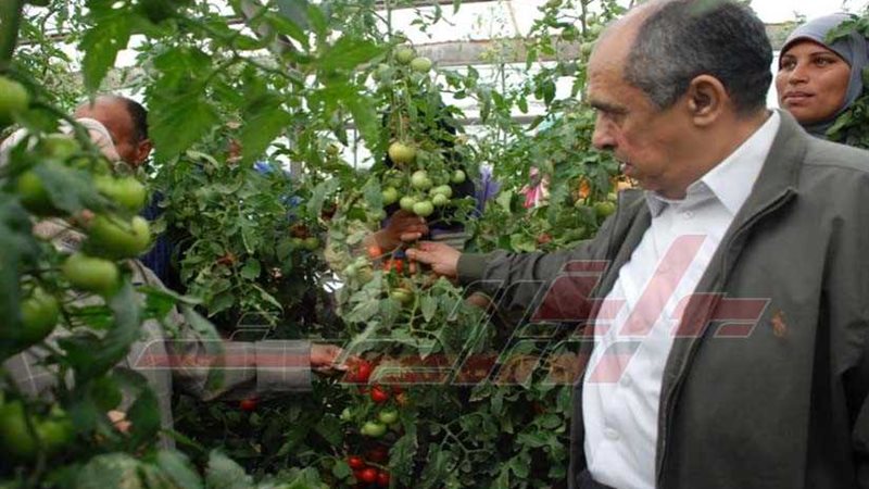 عاجل ..الزراعة تنجح