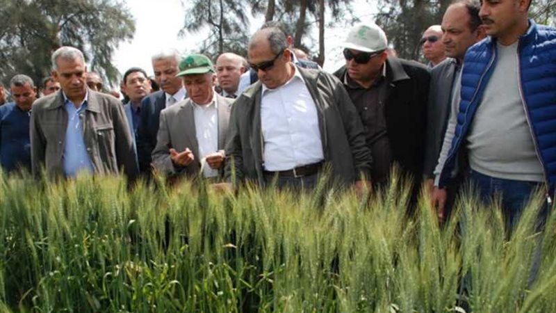 أبوستيت: طفرة في