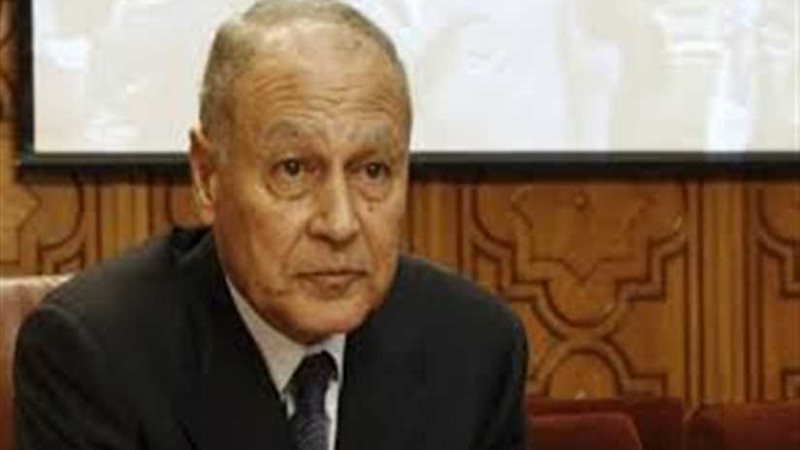 أبو الغيط يؤكد لعبد