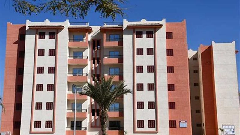 الجزار : تنفيذ 31248