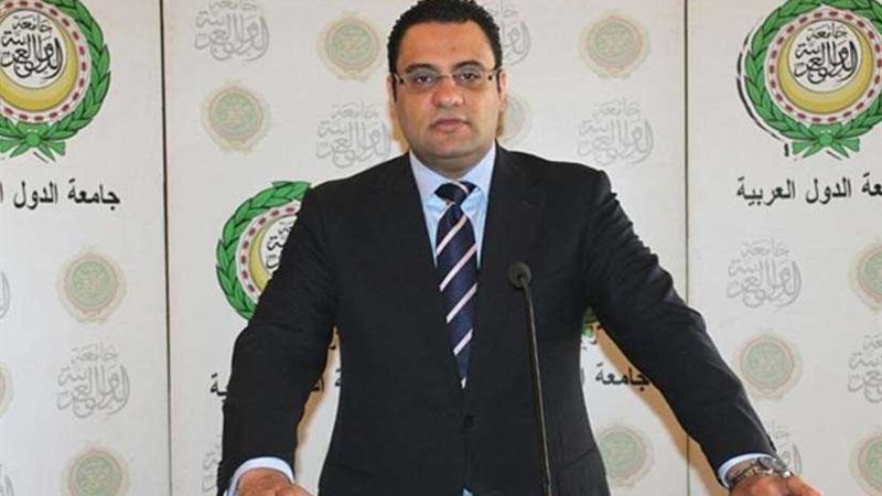 عفيفي: القمة العربية