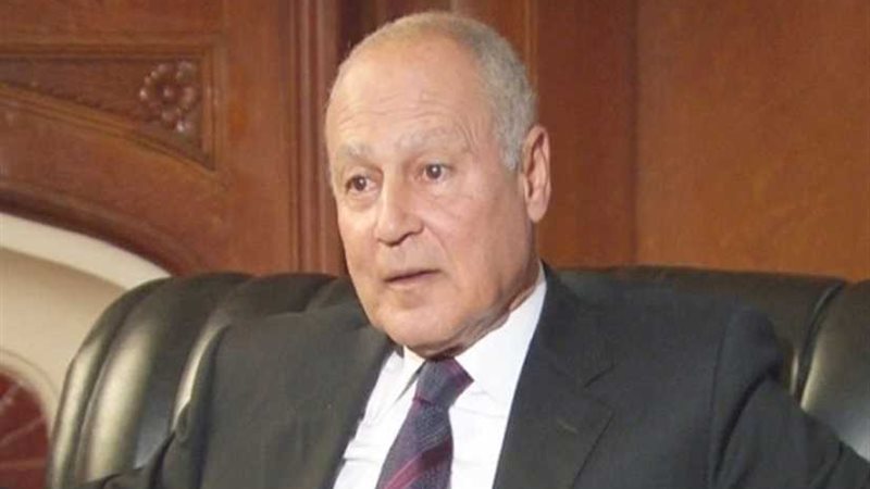 أبو الغيط يستضيف