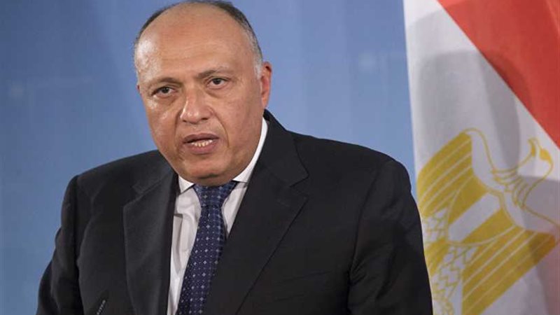 شكري: سويسرا شريك