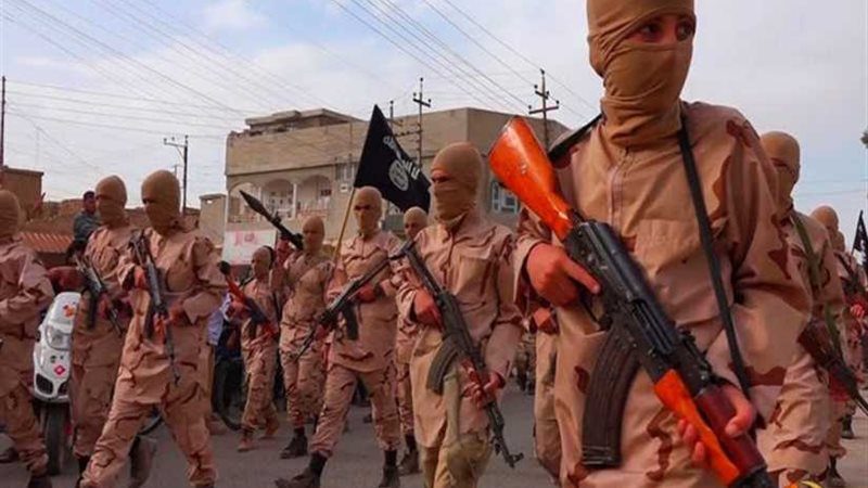 صعود وسقوط تنظيم