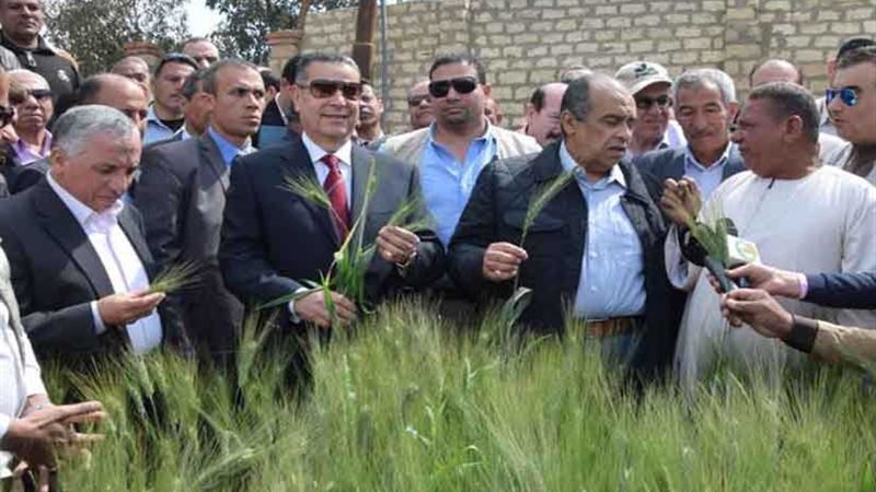 وزير الزراعة: الحقول