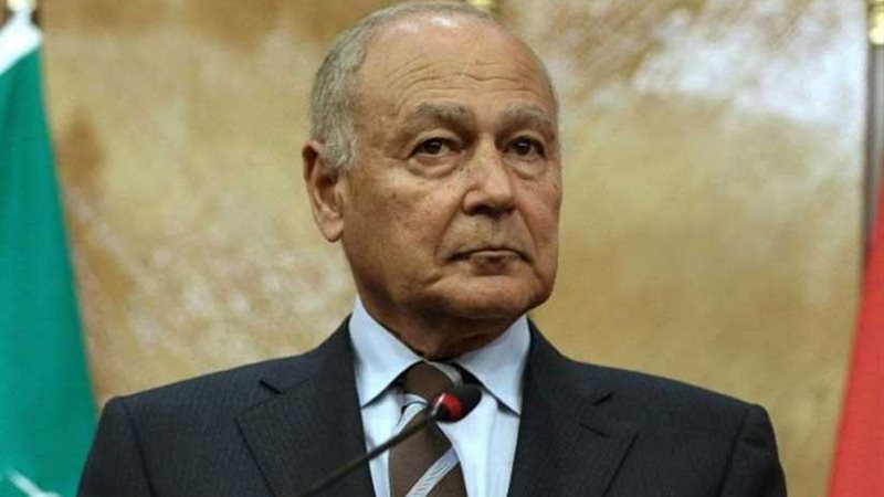 أبو الغيط يناقش مع