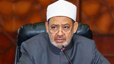 الإمام الأكبر: أبناء أفريقيا قادرون على صنع نهضة قارتهم