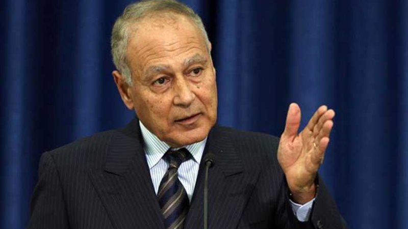 أبو الغيط: اعتراف