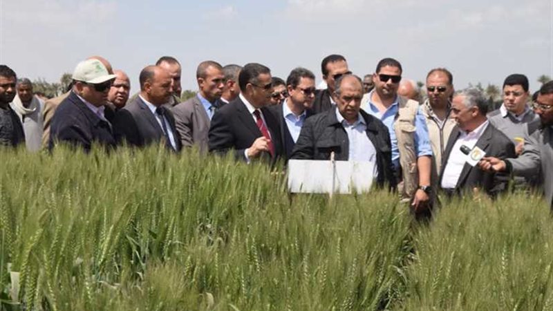 وزير الزراعة: أي