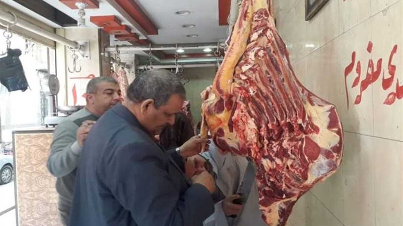 محاضر بالجملة خلال