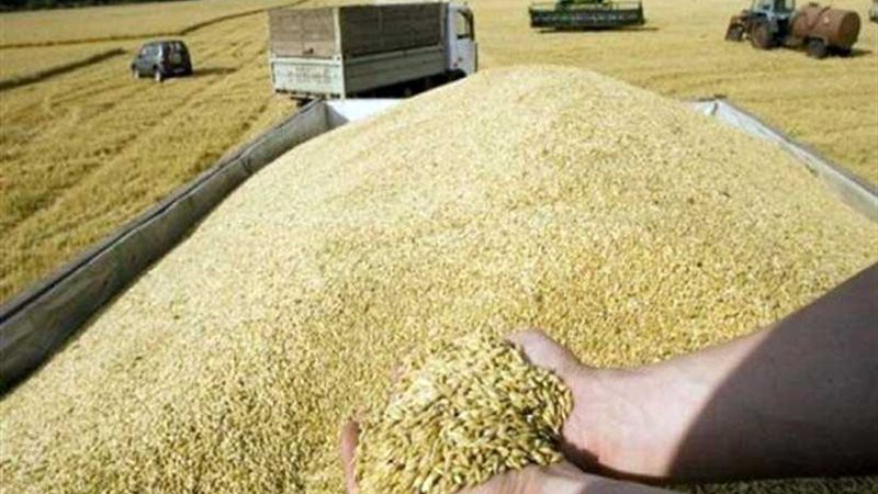 السلع التموينية تتعاقد