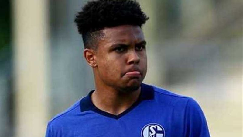 شالكه يفتقد جهود