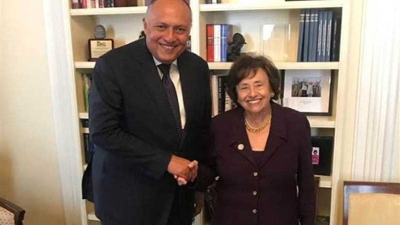 شكري يلتقي رئيسة