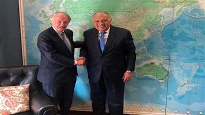 شكري يلتقي عضوي مجلسي الشيوخ والنواب الأمريكيين