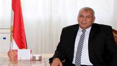 توصيل المرافق لأول قرية نموذجية بالوادي الجديد بتكلفة 45 مليون جنيه