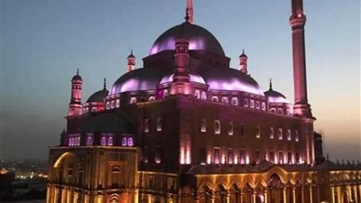 وزارة الآثار تشارك في ساعة الأرض