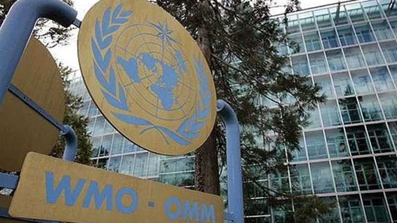 المنظمة العالمية