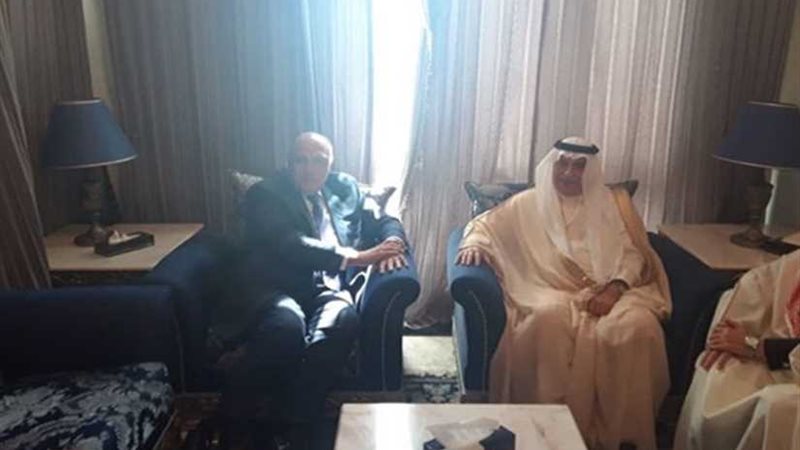 شكرى يلتقى نظيرة