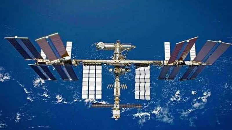 شاهد.. كائنات عاشت