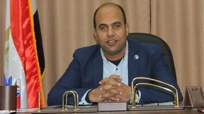 الهمامي: قرار السيسي بزيادة الأجور يعيد هيكلة القطاع الإداري