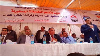 المراغي: نعم للتعديلات الدستورية