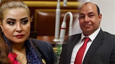 لهذه الأسباب يؤيد المصريون بالخارج التعديلات الدستورية