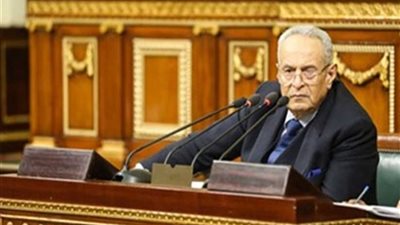 أبو شقة : ملاحظات الحوار المجتمعي حول التعديلات الدستورية موضع اعتبار