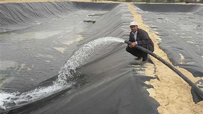 الإعداد لافتتاح أكبر مشروع للاستزراع السمكي في سيناء بجامعة العريش